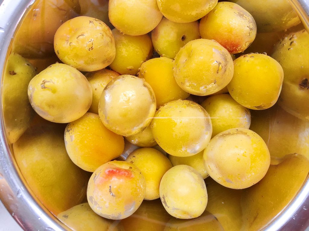 梅干しに使う梅をアク抜きしたら変色 これは使える 水につけすぎてぶよぶよの物は