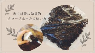ゴキブリ対策 タグの記事一覧 ホテルと植物と暮らし